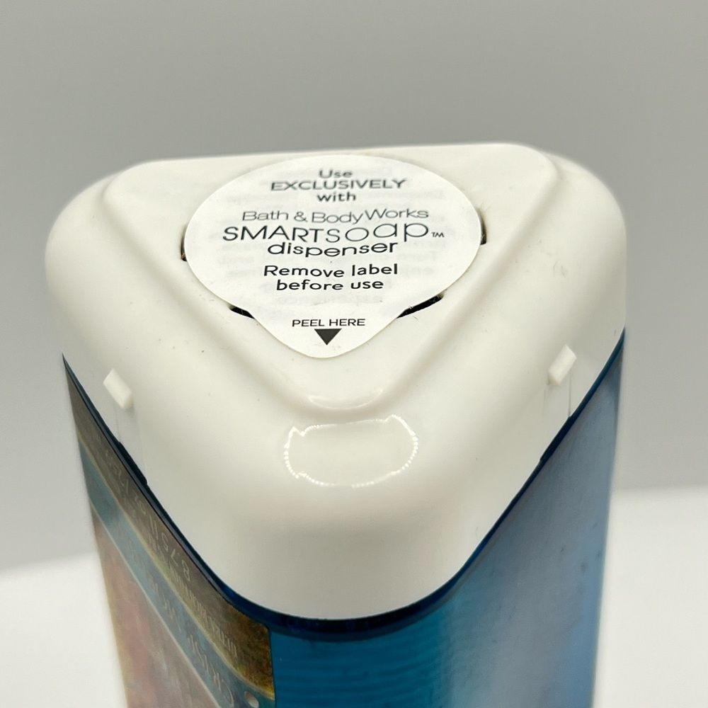 Bath & Body Works SmartSoap Foaming Hand Soap Refill CRISP MORNING AIR ~ NEW - Picture 3 of 5
